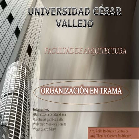 organizacion en trama