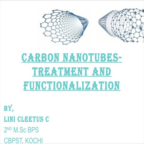 CARBON NANOTUBES-TREATMENT AND FUNCTIONALIZATION