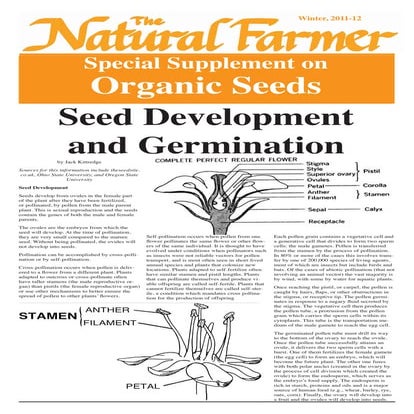Organic Seeds - Seed Development and Germination