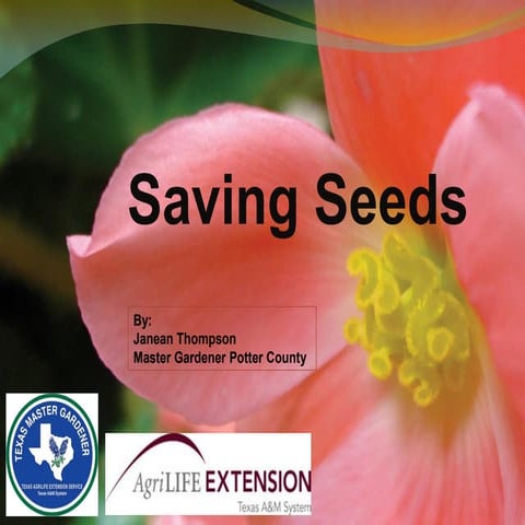 Saving Seeds ~ Texas Master Gardeners