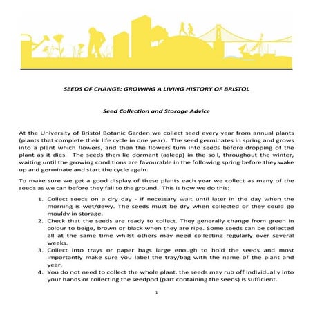 Seed Collection and Storage ~ University of Bristol