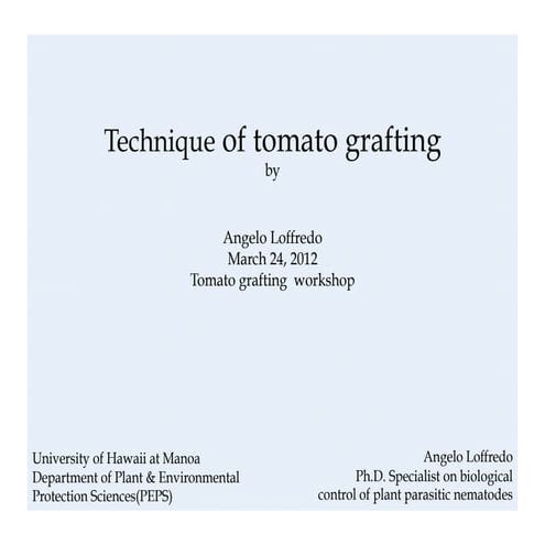 Technique of Tomato Grafting