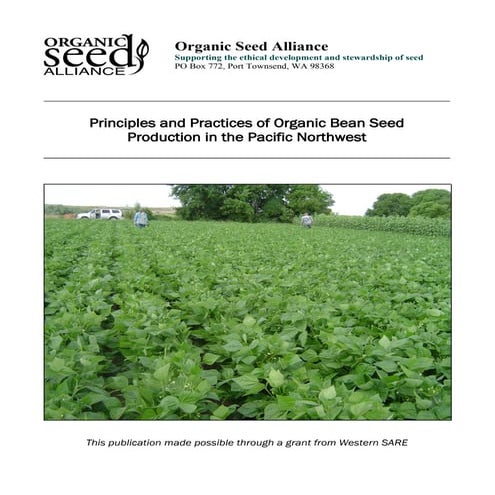 The Principles and Practices of Organic Bean Seed Production in the ...