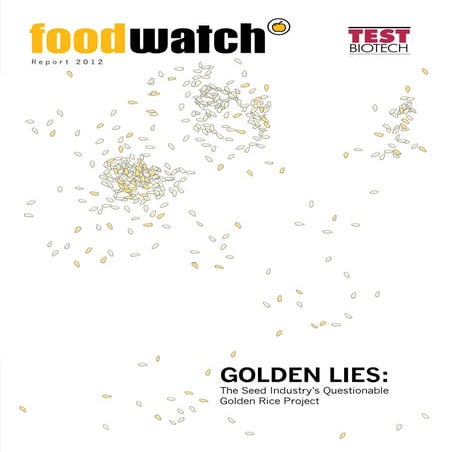 Golden rice paper | DOCX