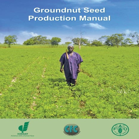 Groundnut Seed Production Manual