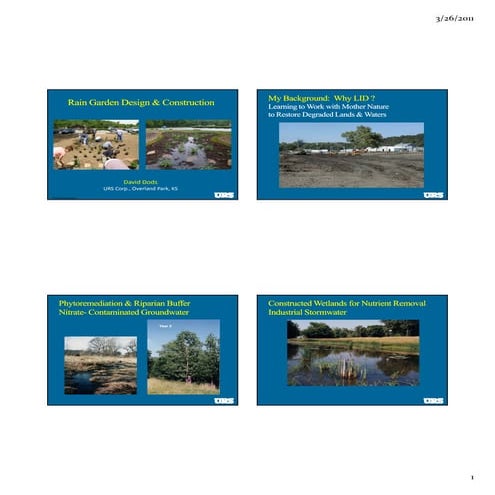 Guide to Rain Gardens