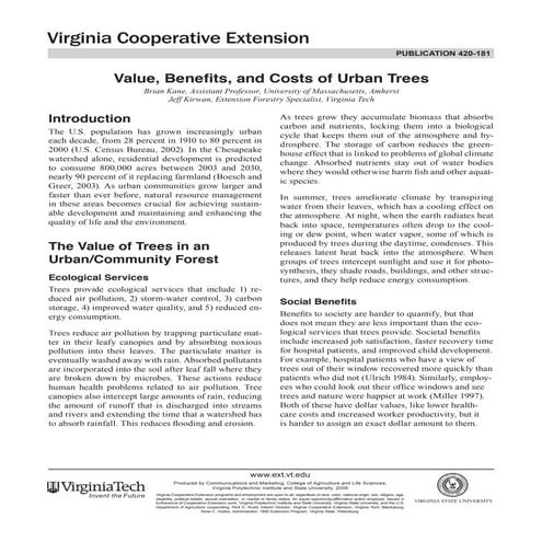 Value, Benefits, and Costs of Urban Trees