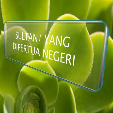 Zy ts mz ky pengajian am