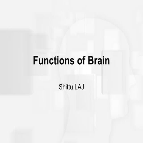 Brain function