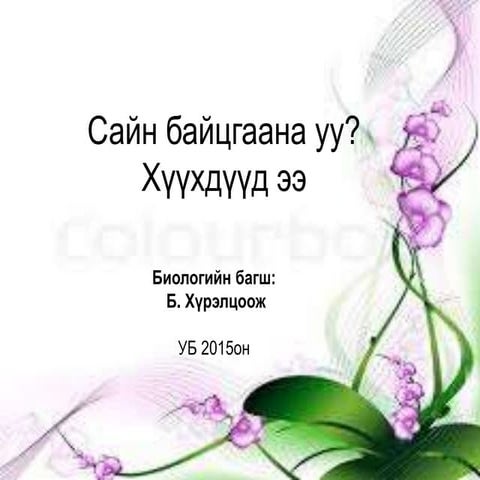 19-р сургууль багш Б.Хүрэлцоож 11 анги биологи хичээл мутаци 